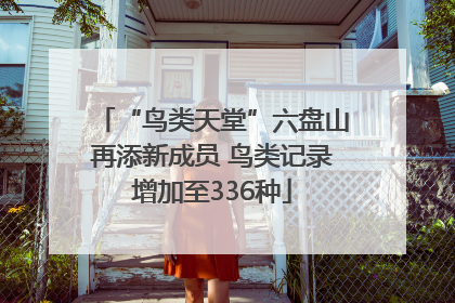 “鸟类天堂”六盘山再添新成员 鸟类记录增加至336种