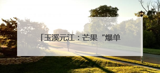 玉溪元江：芒果“爆单” 联农带农产业兴