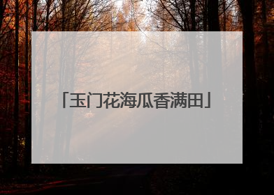玉门花海瓜香满田