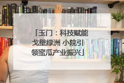 玉门：科技赋能戈壁绿洲 小院引领蜜瓜产业振兴