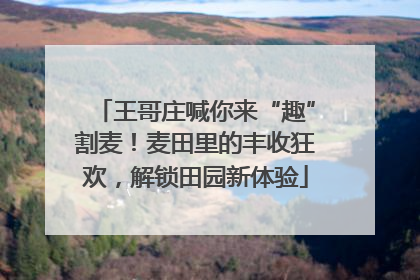 王哥庄喊你来“趣”割麦！麦田里的丰收狂欢，解锁田园新体验