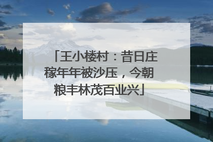 王小楼村：昔日庄稼年年被沙压，今朝粮丰林茂百业兴