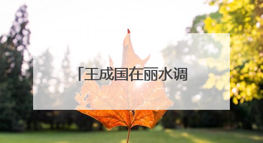 王成国在丽水调研时强调：以更高水平安全和法治环境服务保障山区海岛县高质量发展
