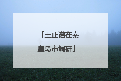 王正谱在秦皇岛市调研
