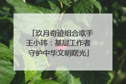 玖月奇迹组合歌手王小玮：基层工作者守护中华文明曙光