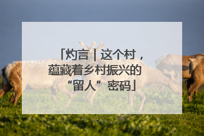 灼言｜这个村，蕴藏着乡村振兴的“留人”密码