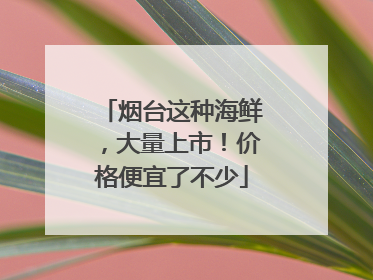 烟台这种海鲜，大量上市！价格便宜了不少