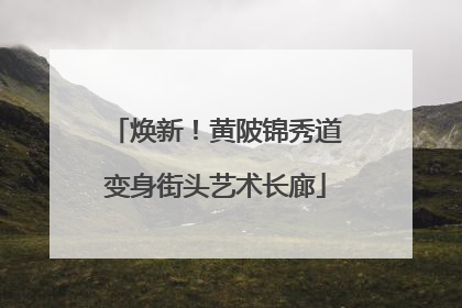焕新！黄陂锦秀道变身街头艺术长廊