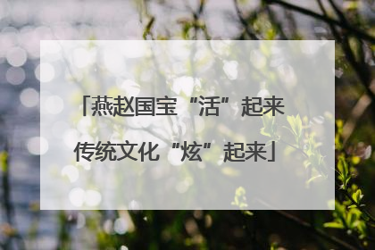 燕赵国宝“活”起来 传统文化“炫”起来