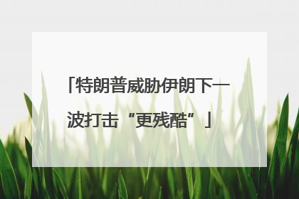 特朗普威胁伊朗下一波打击“更残酷”