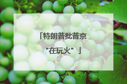 特朗普批普京“在玩火”