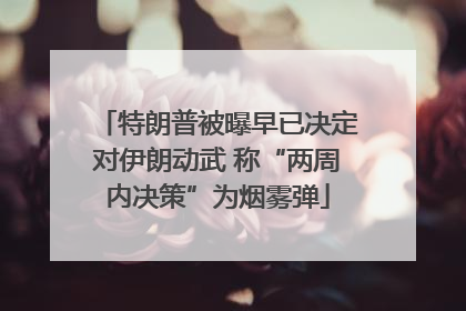 特朗普被曝早已决定对伊朗动武 称“两周内决策”为烟雾弹