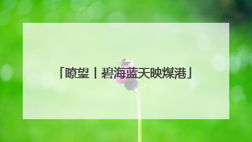 瞭望丨碧海蓝天映煤港