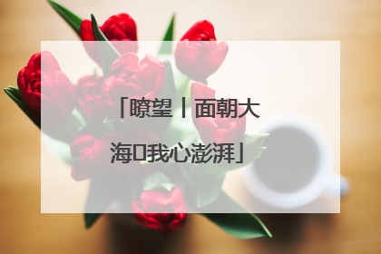 瞭望丨面朝大海 我心澎湃