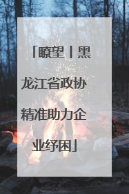 瞭望丨黑龙江省政协精准助力企业纾困