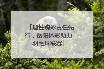 理性购彩责任先行，岳阳体彩助力羽毛球联赛