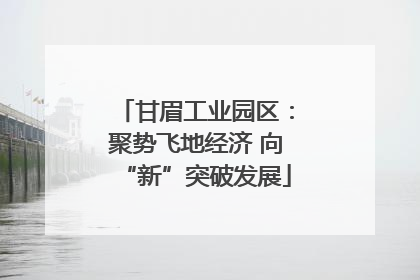 甘眉工业园区：聚势飞地经济 向“新”突破发展