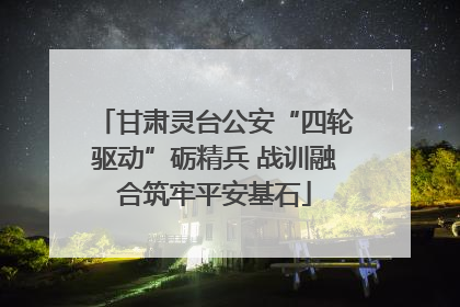 甘肃灵台公安“四轮驱动”砺精兵 战训融合筑牢平安基石