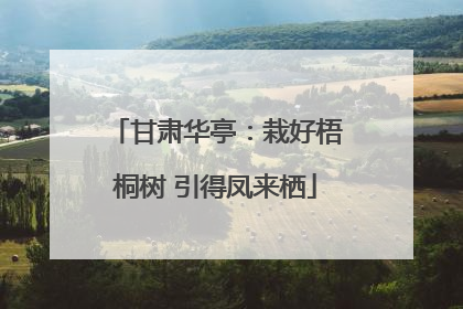 甘肃华亭：栽好梧桐树 引得凤来栖