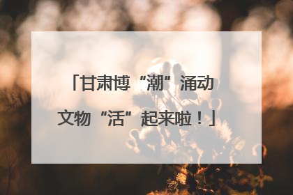 甘肃博“潮”涌动 文物“活”起来啦！