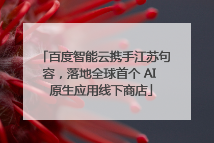 百度智能云携手江苏句容，落地全球首个 AI 原生应用线下商店