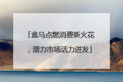 盒马点燃消费新火花，潜力市场活力迸发