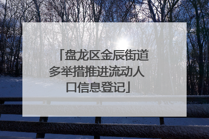 盘龙区金辰街道多举措推进流动人口信息登记