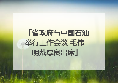 省政府与中国石油举行工作会谈 毛伟明戴厚良出席