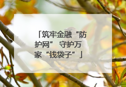 筑牢金融“防护网” 守护万家“钱袋子”