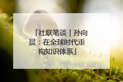 社联笔谈｜孙向晨：在全球时代重构知识体系