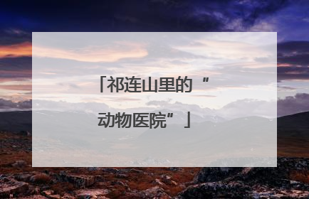 祁连山里的“动物医院”