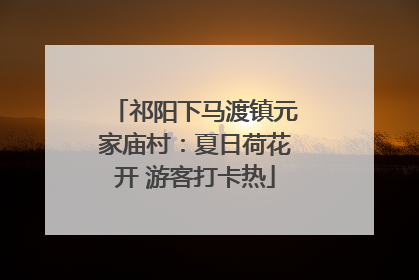 祁阳下马渡镇元家庙村：夏日荷花开 游客打卡热