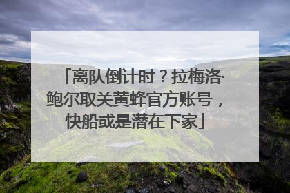 离队倒计时？拉梅洛·鲍尔取关黄蜂官方账号，快船或是潜在下家