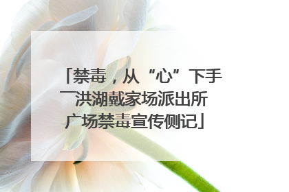 禁毒，从“心”下手――洪湖戴家场派出所广场禁毒宣传侧记