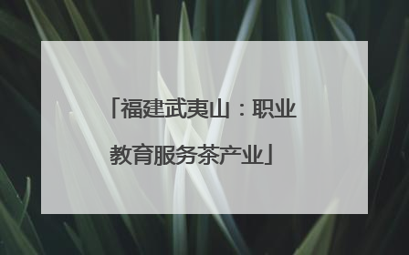 福建武夷山：职业教育服务茶产业