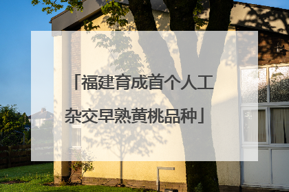 福建育成首个人工杂交早熟黄桃品种