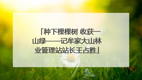 种下棵棵树 收获一山绿——记牟家大山林业管理站站长王占胜