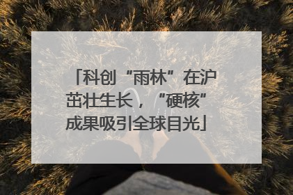 科创“雨林”在沪茁壮生长，“硬核”成果吸引全球目光