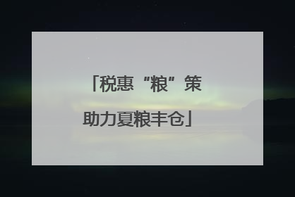 税惠“粮”策助力夏粮丰仓