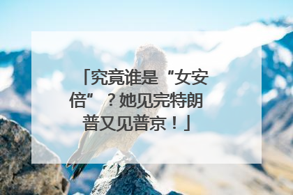 究竟谁是“女安倍”？她见完特朗普又见普京！