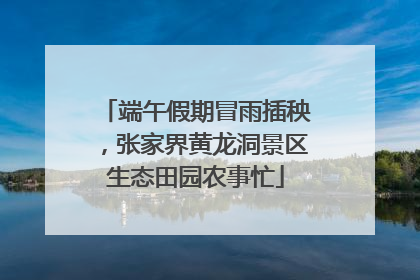端午假期冒雨插秧，张家界黄龙洞景区生态田园农事忙