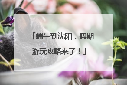 端午到沈阳，假期游玩攻略来了！