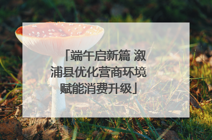 端午启新篇 溆浦县优化营商环境赋能消费升级