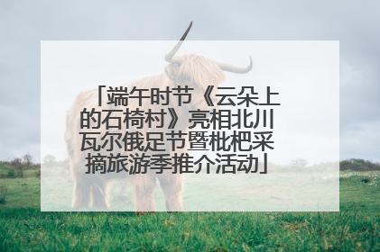 端午时节《云朵上的石椅村》亮相北川瓦尔俄足节暨枇杷采摘旅游季推介活动