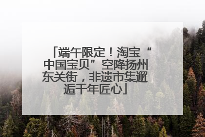 端午限定！淘宝“中国宝贝”空降扬州东关街，非遗市集邂逅千年匠心