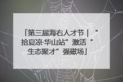 第三届海右人才节｜“拾夏凉·华山站”激活“生态聚才”强磁场