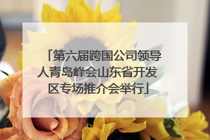 第六届跨国公司领导人青岛峰会山东省开发区专场推介会举行