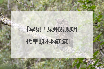 罕见！泉州发现明代早期木构建筑