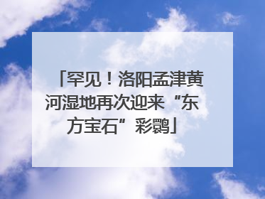 罕见！洛阳孟津黄河湿地再次迎来“东方宝石”彩鹮