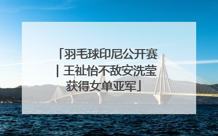 羽毛球印尼公开赛｜王祉怡不敌安洗莹 获得女单亚军